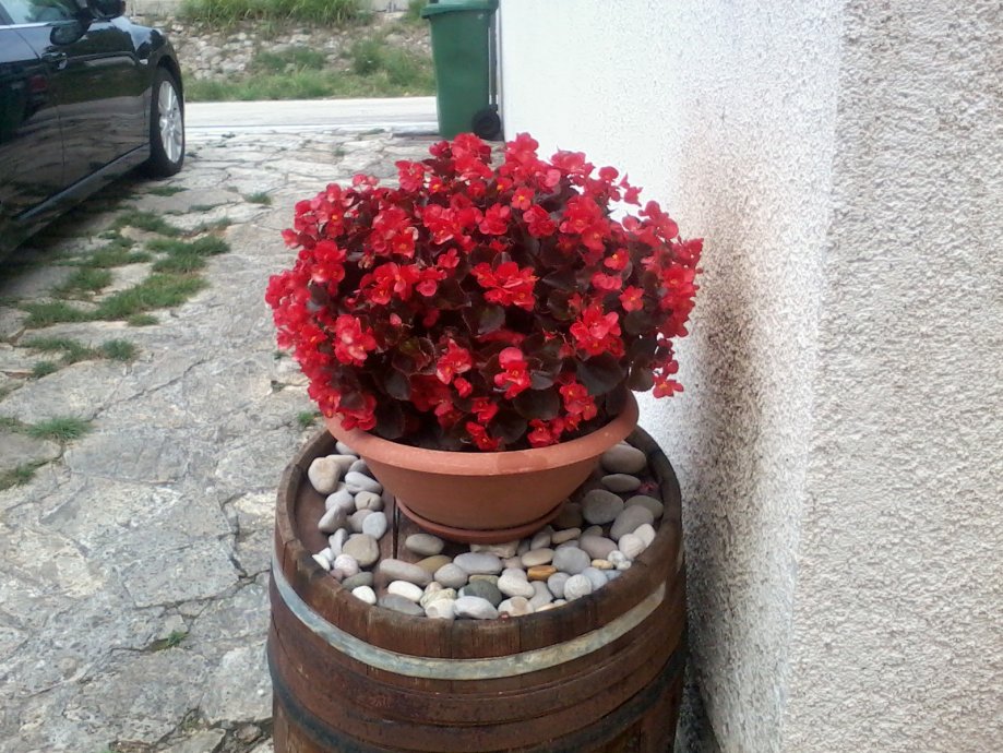 kuca-odmor-bibinje-7-1-slobodno-10.9-akcija-slika-49528007